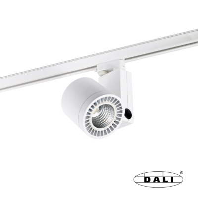 010604501D Faro CYLINDER WHITE LED 18W 4000K 20° DALI
