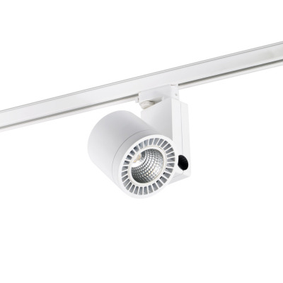 010606501D Faro CYLINDER WHITE LED FRUIT&BREAD 24W 3000K 20° DALI