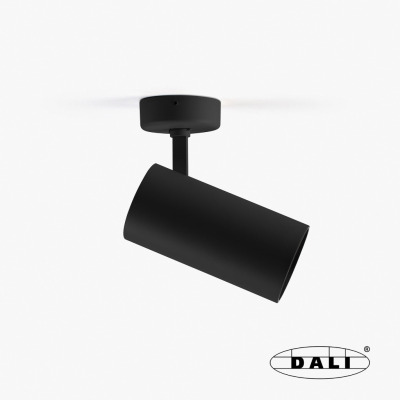 0121MT22D Faro FOST SURFACE ?90 42W BLACK 23° MEAT DALI