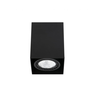 050402202 Faro TEKO - 1 Black surface LED food 24W fish 56º