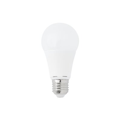 17070 Faro BULB E27 STANDARD LED 8W 2700K