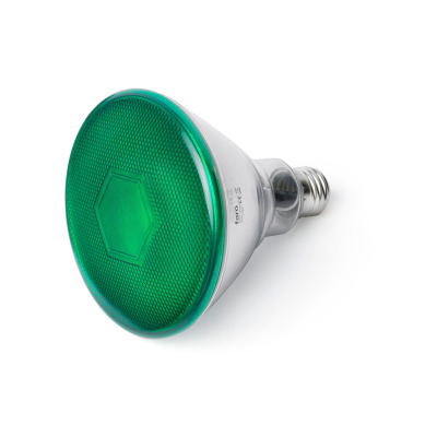 17399 Faro Bulb E27 PAR38 LED 10W 4000K 400LM green