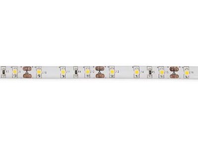 19029 TK-Lighting LED STRIP COLD WHITE 36W 24VDC 5MT IP65