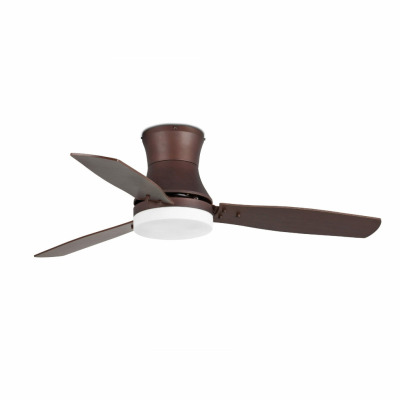 33386 Faro TONSAY L Brown fan