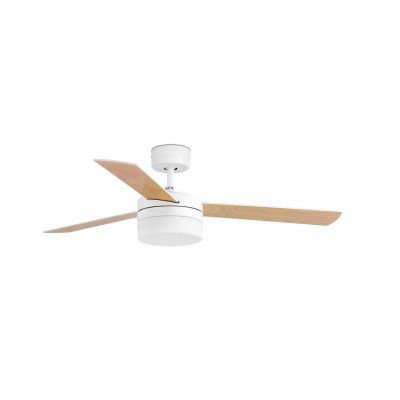 33607 Faro PANAY M White fan
