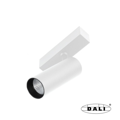 5010803021D Faro NESO HOLE-10W 3000K 36 D WHITE DALI