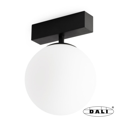 5010892702D Faro NESO UNIK 2700K BLACK DALI