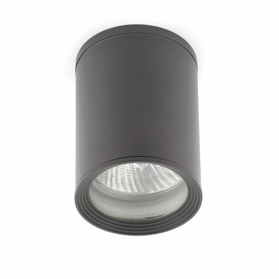 70806 Faro TASA DARK GREY CEILING LAMP 1 X PAR30 75W